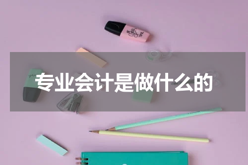 专业会计是做什么的