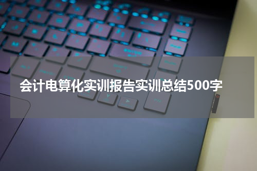 会计电算化实训报告实训总结500字
