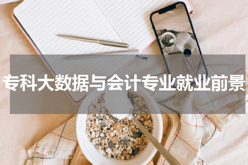 专科大数据与会计专业就业前景