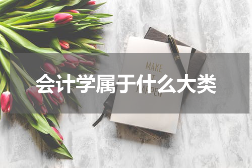 会计学属于什么大类