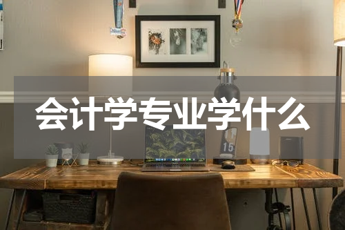 会计学专业学什么