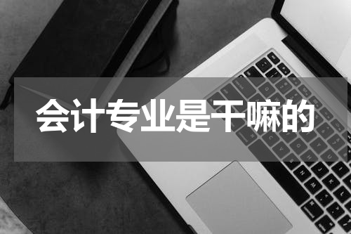 会计专业是干嘛的