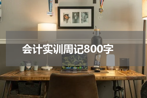 会计实训周记800字