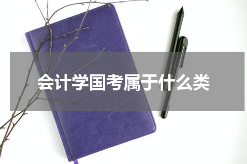 会计学国考属于什么类