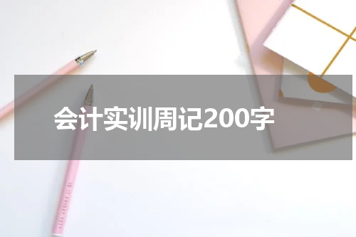 会计实训周记200字