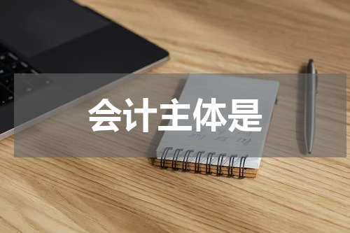 会计主体是