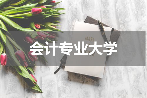 会计专业大学