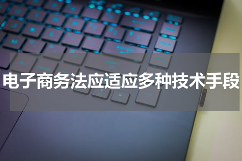 电子商务法应适应多种技术手段
