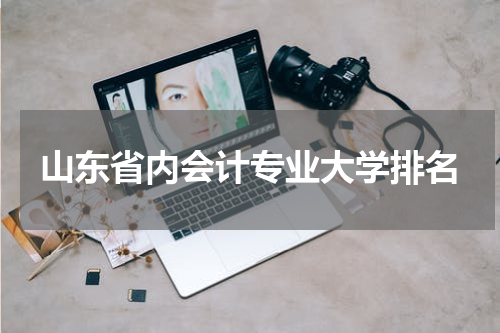 山东省内会计专业大学排名