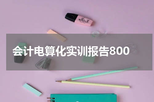 会计电算化实训报告800