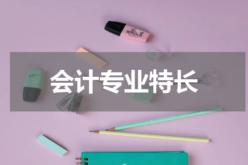 会计专业特长
