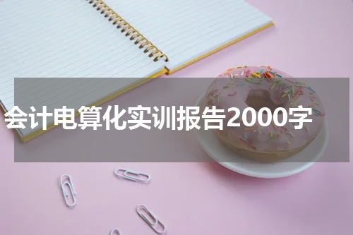 会计电算化实训报告2000字