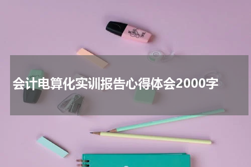 会计电算化实训报告心得体会2000字