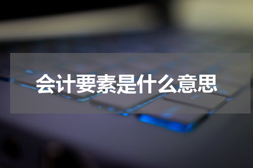 会计要素是什么意思