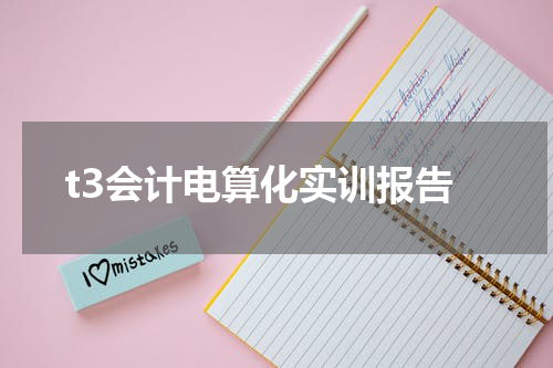 t3会计电算化实训报告