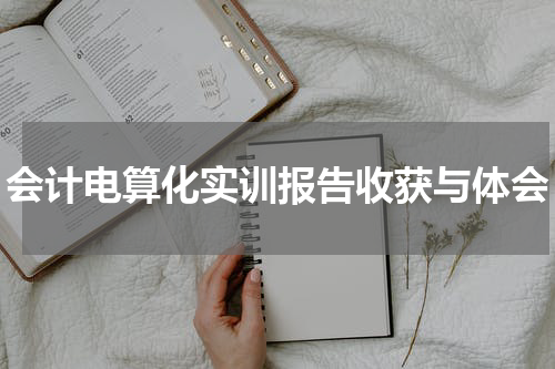 会计电算化实训报告收获与体会