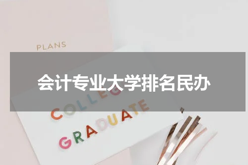 会计专业大学排名民办