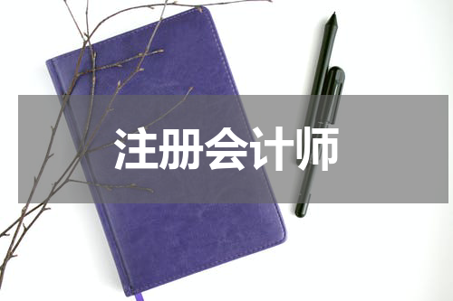 注册会计师