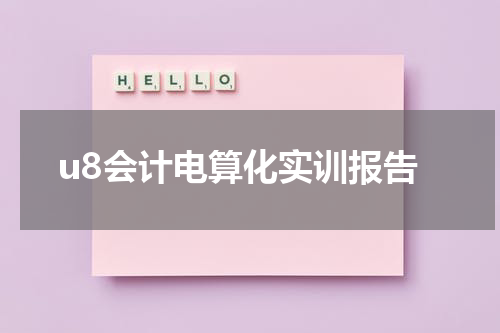 u8会计电算化实训报告
