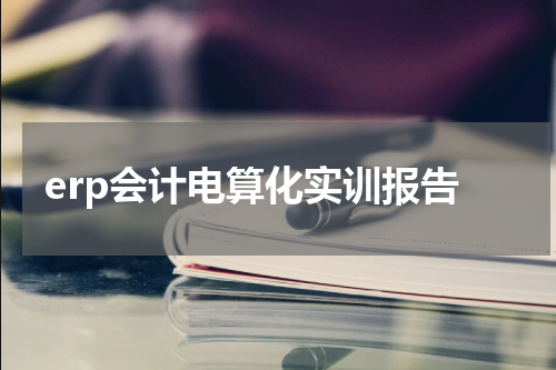 erp会计电算化实训报告