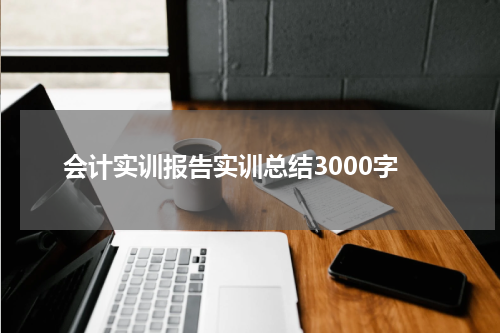 会计实训报告实训总结3000字