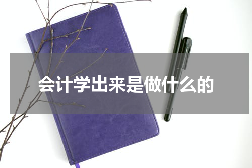 会计学出来是做什么的