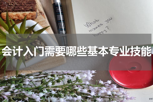 会计入门需要哪些基本专业技能