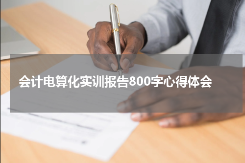 会计电算化实训报告800字心得体会