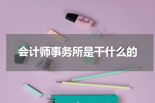 会计师事务所是干什么的