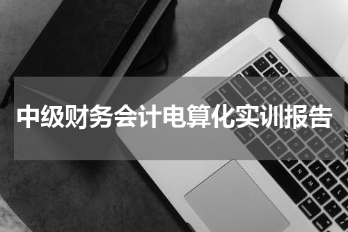 中级财务会计电算化实训报告