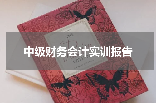 中级财务会计实训报告