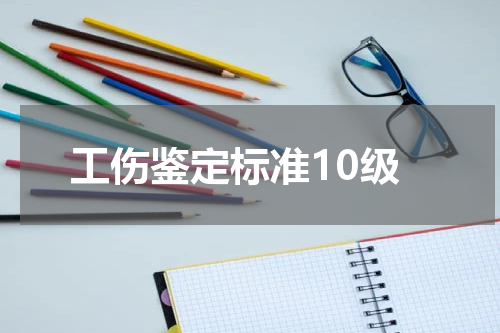 工伤鉴定标准10级