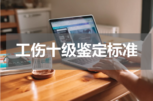 工伤十级鉴定标准