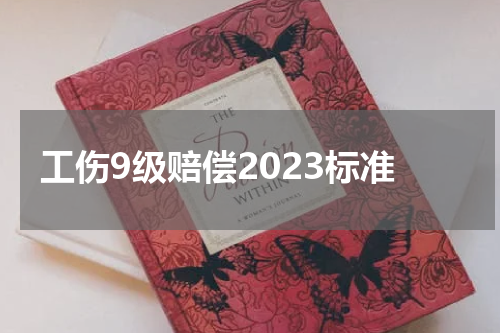 工伤9级赔偿2023标准