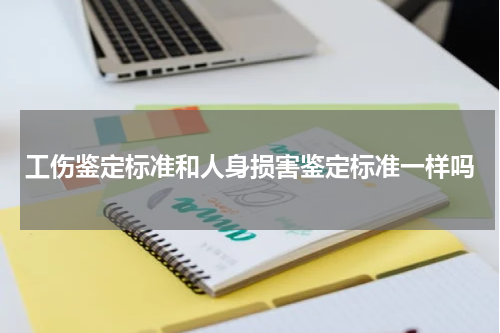 工伤鉴定标准和人身损害鉴定标准一样吗