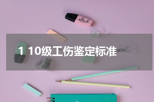1 10级工伤鉴定标准