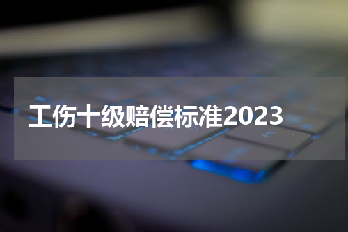 工伤十级赔偿标准2023