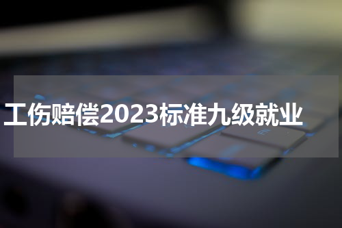 工伤赔偿2023标准九级就业