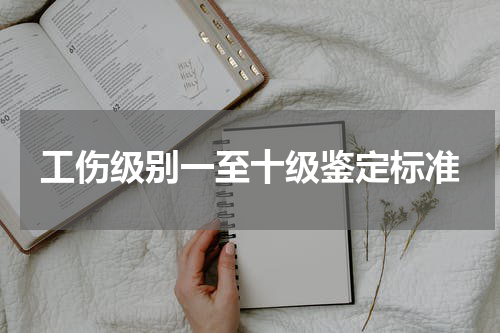 工伤级别一至十级鉴定标准