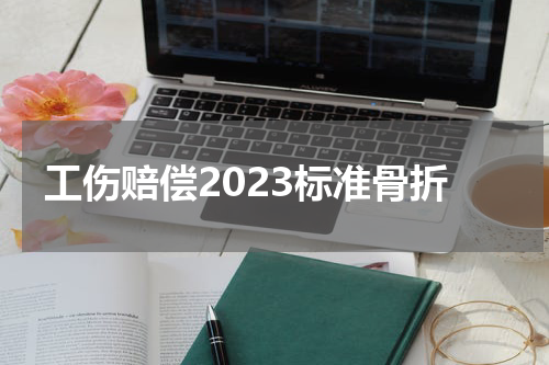工伤赔偿2023标准骨折