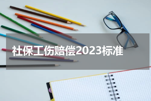 社保工伤赔偿2023标准