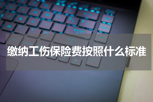 缴纳工伤保险费按照什么标准