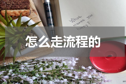 怎么走流程的