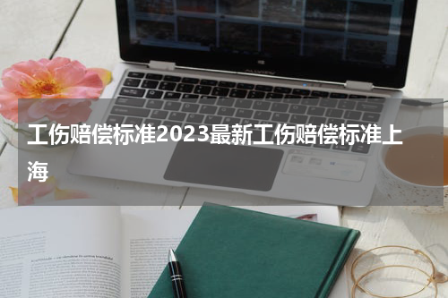 工伤赔偿标准2023最新工伤赔偿标准上海