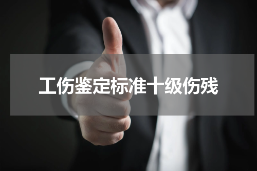 工伤鉴定标准十级伤残