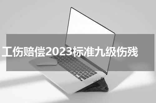 工伤赔偿2023标准九级伤残