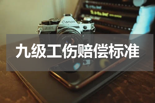 九级工伤赔偿标准