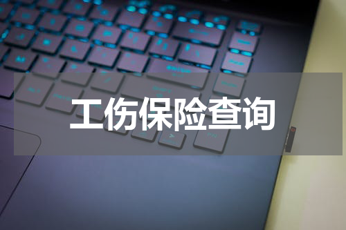 工伤保险查询