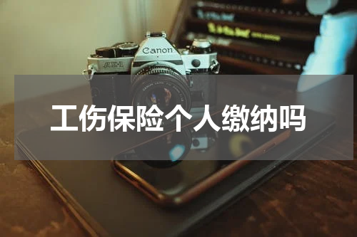 工伤保险个人缴纳吗
