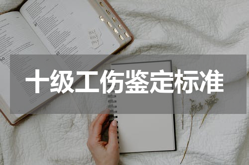 十级工伤鉴定标准